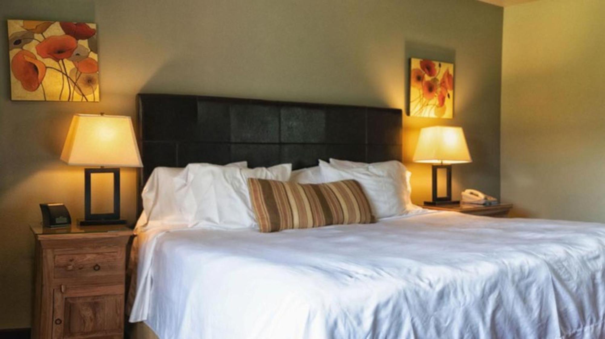 Driftwood Lodge Springdale Ngoại thất bức ảnh